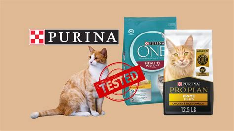 best purina cat food|purina cat food complaints.